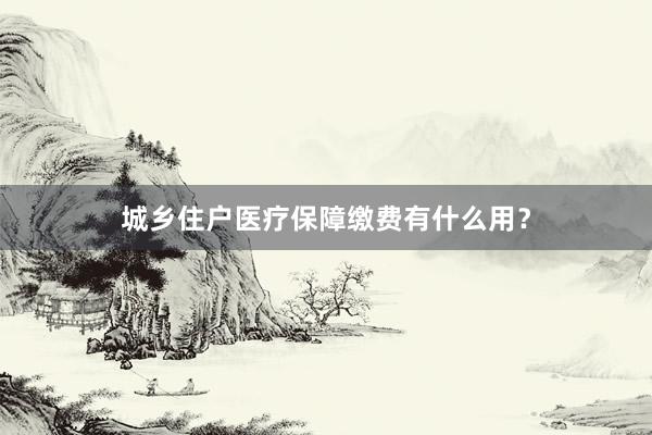 城乡住户医疗保障缴费有什么用？