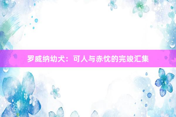 罗威纳幼犬：可人与赤忱的完竣汇集