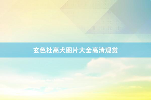 玄色杜高犬图片大全高清观赏
