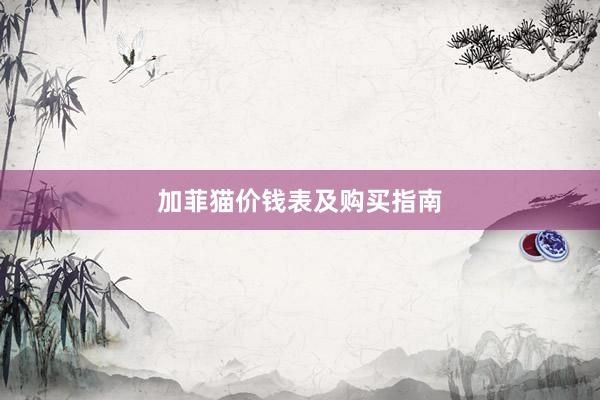 加菲猫价钱表及购买指南